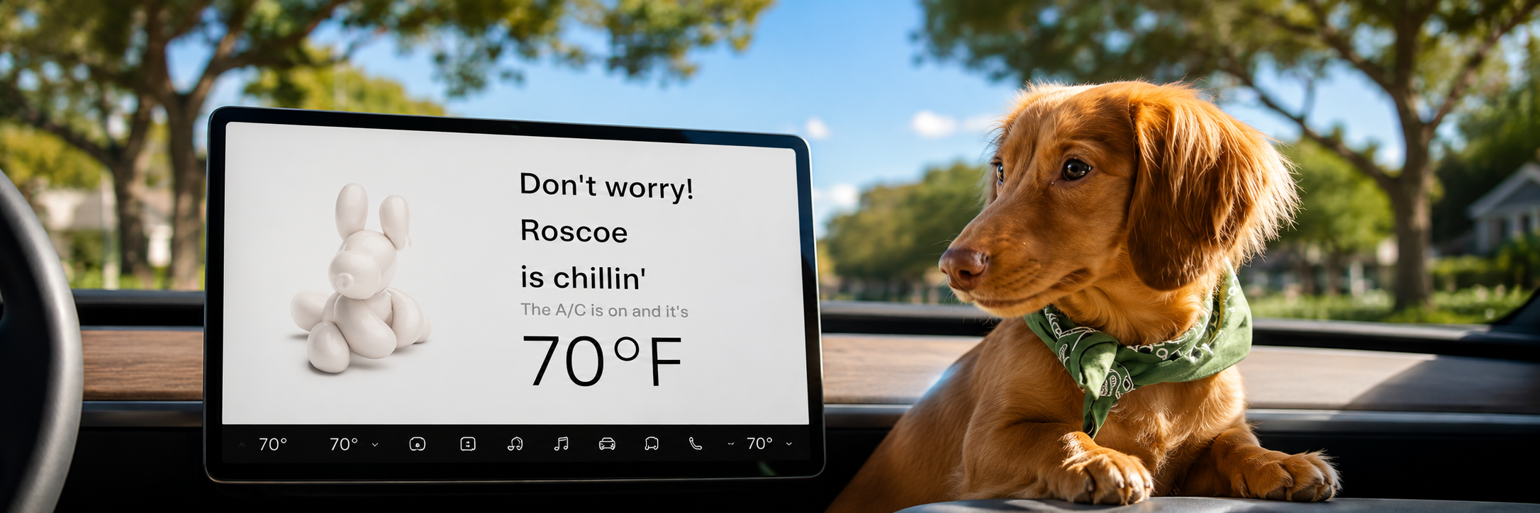 Roscoe relaxing in a car beside the Pet Mode display